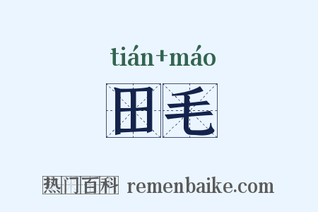 田毛是什么意思的图片